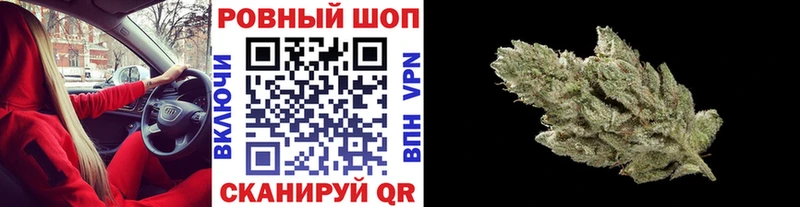 Где купить Лермонтов Кокаин  Гашиш  Псилоцибиновые грибы  Канабис  СК 
