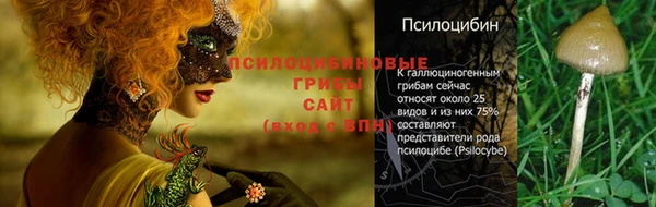 мескалин Кинешма